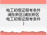 电工初级证报考条件浦东新区(浦东新区电工初级证报考条件)