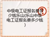 中级电工证报名费多少钱乐山(乐山中级电工证报名费多少钱)