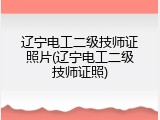 辽宁电工二级技师证照片(辽宁电工二级技师证照)