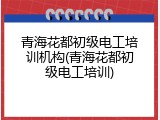 青海花都初级电工培训机构(青海花都初级电工培训)