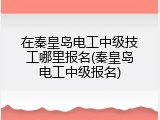 在秦皇岛电工中级技工哪里报名(秦皇岛电工中级报名)