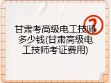 甘肃考高级电工技师多少钱(甘肃高级电工技师考证费用)