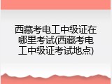 西藏考电工中级证在哪里考试(西藏考电工中级证考试地点)
