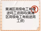 黄浦区高级电工有前途吗工资高吗(黄浦区高级电工有前途高工资)