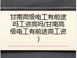 甘南高级电工有前途吗工资高吗(甘南高级电工有前途高工资)