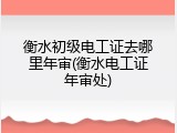 衡水初级电工证去哪里年审(衡水电工证年审处)