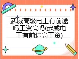 武威高级电工有前途吗工资高吗(武威电工有前途高工资)