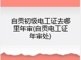自贡初级电工证去哪里年审(自贡电工证年审处)