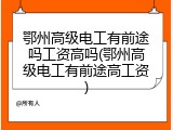 鄂州高级电工有前途吗工资高吗(鄂州高级电工有前途高工资)