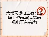 无锡高级电工有前途吗工资高吗(无锡高级电工有前途)
