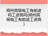 朔州高级电工有前途吗工资高吗(朔州高级电工有前途工资高)