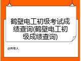 鹤壁电工初级考试成绩查询(鹤壁电工初级成绩查询)