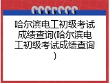 哈尔滨电工初级考试成绩查询(哈尔滨电工初级考试成绩查询)