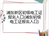 浦东新区初级电工证报名入口(浦东初级电工证报名入口)