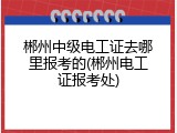 郴州中级电工证去哪里报考的(郴州电工证报考处)