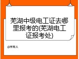 芜湖中级电工证去哪里报考的(芜湖电工证报考处)