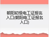朝阳初级电工证报名入口(朝阳电工证报名入口)