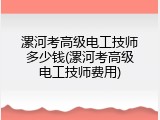 漯河考高级电工技师多少钱(漯河考高级电工技师费用)