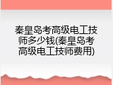 秦皇岛考高级电工技师多少钱(秦皇岛考高级电工技师费用)