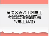 黄浦区嘉兴中级电工考试试题(黄浦区嘉兴电工试题)