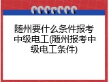 随州要什么条件报考中级电工(随州报考中级电工条件)