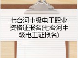 七台河中级电工职业资格证报名(七台河中级电工证报名)