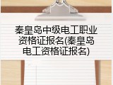 秦皇岛中级电工职业资格证报名(秦皇岛电工资格证报名)
