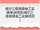 咸宁三级高级电工实操考试项目(咸宁三级高级电工实操项目)
