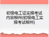 初级电工证实操考试内容柳州(初级电工实操考试柳州)