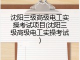 沈阳三级高级电工实操考试项目(沈阳三级高级电工实操考试)