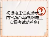 初级电工证实操考试内容葫芦岛(初级电工实操考试葫芦岛)