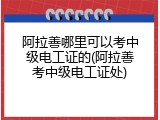 阿拉善哪里可以考中级电工证的(阿拉善考中级电工证处)
