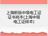 上海新版中级电工证证书样本(上海中级电工证样本)