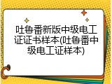 吐鲁番新版中级电工证证书样本(吐鲁番中级电工证样本)