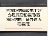 西双版纳高级电工证办理流程和费用(西双版纳电工证办理流程费用)