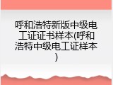 呼和浩特新版中级电工证证书样本(呼和浩特中级电工证样本)
