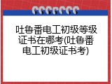 吐鲁番电工初级等级证书在哪考(吐鲁番电工初级证书考)