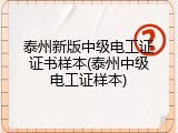 泰州新版中级电工证证书样本(泰州中级电工证样本)