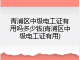 青浦区中级电工证有用吗多少钱(青浦区中级电工证有用)