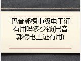巴音郭楞中级电工证有用吗多少钱(巴音郭楞电工证有用)
