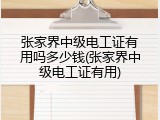 张家界中级电工证有用吗多少钱(张家界中级电工证有用)