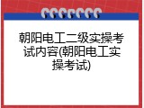 朝阳电工二级实操考试内容(朝阳电工实操考试)