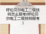 呼伦贝尔电工二级技师怎么报考(呼伦贝尔电工二级技师报考)