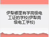 伊犁哪里有学高级电工证的学校(伊犁高级电工学校)