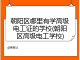 朝阳区哪里有学高级电工证的学校(朝阳区高级电工学校)