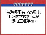 乌海哪里有学高级电工证的学校(乌海高级电工证学校)