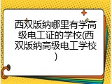 西双版纳哪里有学高级电工证的学校(西双版纳高级电工学校)