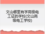文山哪里有学高级电工证的学校(文山高级电工学校)