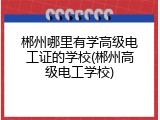 郴州哪里有学高级电工证的学校(郴州高级电工学校)