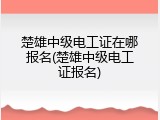 楚雄中级电工证在哪报名(楚雄中级电工证报名)